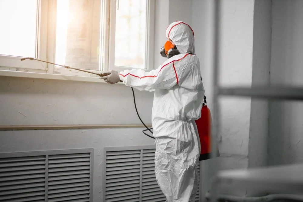 Professional mold remediation services in Nazareth, PA